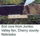 images of Iron Fence Panels Arizona