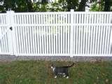 pictures of Tilt Panel Fencing