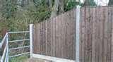 Fence Panels Colchester