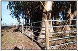 Fencing Panel Prefab photos