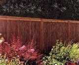 Fence Panels Avon photos
