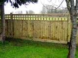 Fence Panels Abingdon pictures