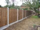Fence Panels Email pictures
