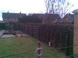 photos of Fencing Panel Rotherham