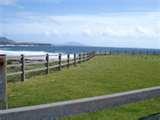Concrete Panel Fencing Ireland pictures