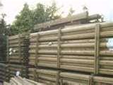 pictures of Fence Panels Essex Online