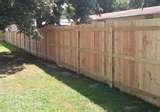 Fence Panels In Leicester
