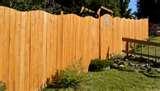 pictures of Fence Panels In Leicester