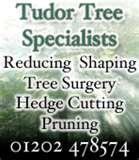 Fencing Panels Christchurch Dorset photos