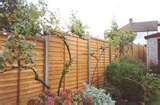 images of Fencing Panel Worcester