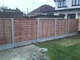 Fencing Panels Benfleet pictures