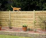images of Fencing Panel Camberley