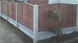Fencing Panels Feathered Edge pictures