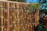 Fence Panels Bamboo photos