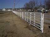 Fence Panels 48