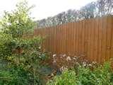 Feather Edge Fencing Panels images