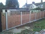 pictures of Feather Edge Fencing Panels