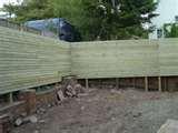 pictures of Fencing Panel Carlisle