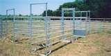 Fence Panels Horses images