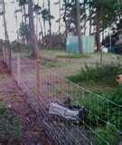 images of Field Fence Panels