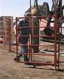 images of Field Fence Panels