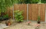Fence Panels And Gravel Boards pictures
