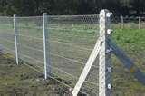 images of Fencing Panel Cheap