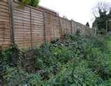 Fencing Panels Ely photos
