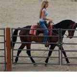 images of Fencing Panels And Gates