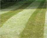 pictures of Fence Panels Banbury