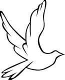 Fence Panels Banbury photos