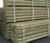 Fencing Panel Warwickshire photos