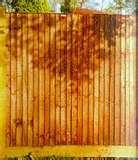 pictures of Fence Panels Florence