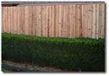 Redwood Fence Panels