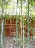Concrete Fencing Panels photos
