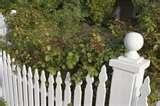 photos of Wood Picket Fence Panels