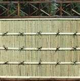 Bamboo Fence Panels photos