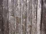 photos of Wooden Fence Panel