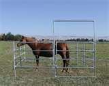 Horse Fence Panels pictures