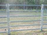 Horse Fence Panels