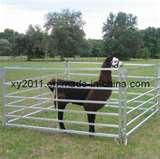 Cattle Panel Fence photos