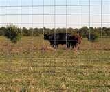 Horse Fence Panels images