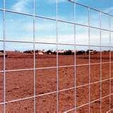 Cattle Panel Fence photos