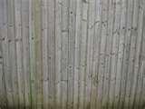 pictures of Wooden Fence Panel