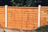 Fencing Panels