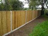 Wood Panel Fencing pictures