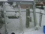 Chain Link Fence Panels images