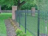 Wrought Iron Fence Panels pictures