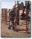 images of Portable Fencing Panels