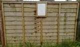images of Fence Panel 2ft